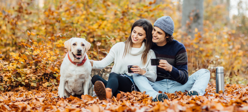 Осень – время приёма витаминов