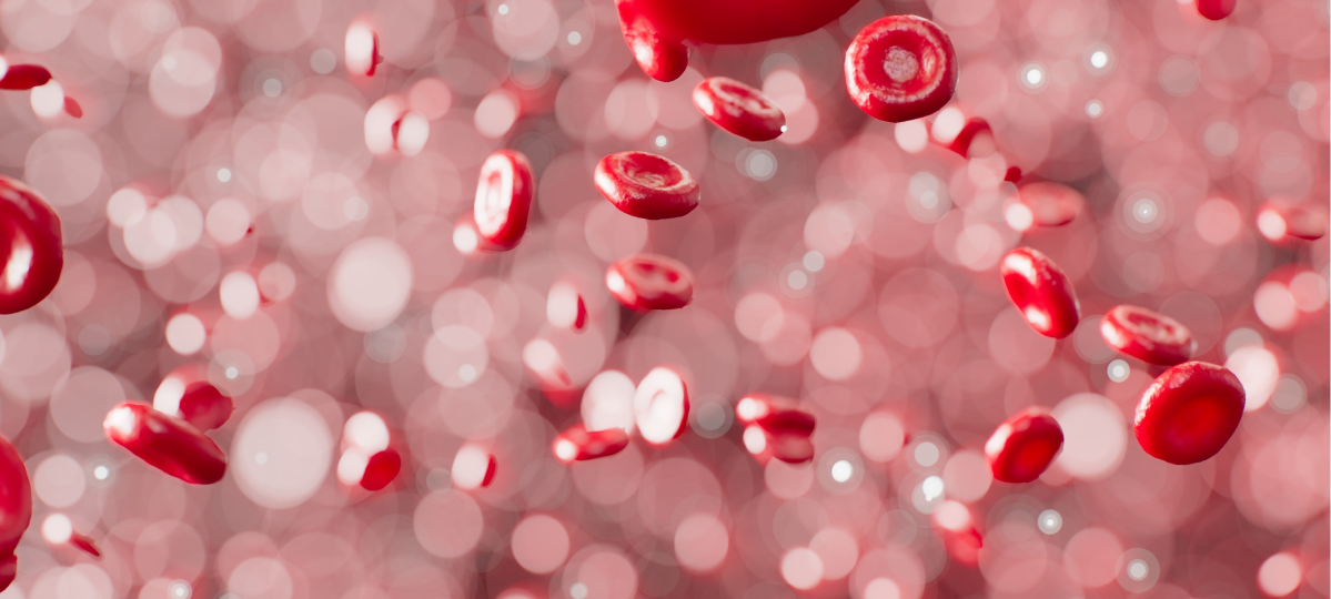 Анемия – «чума XXI века»